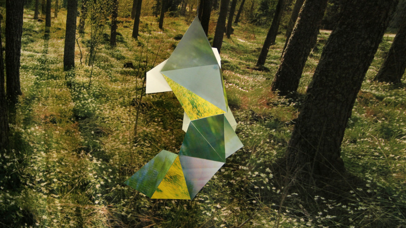 Image of computer generated object in natural woodland