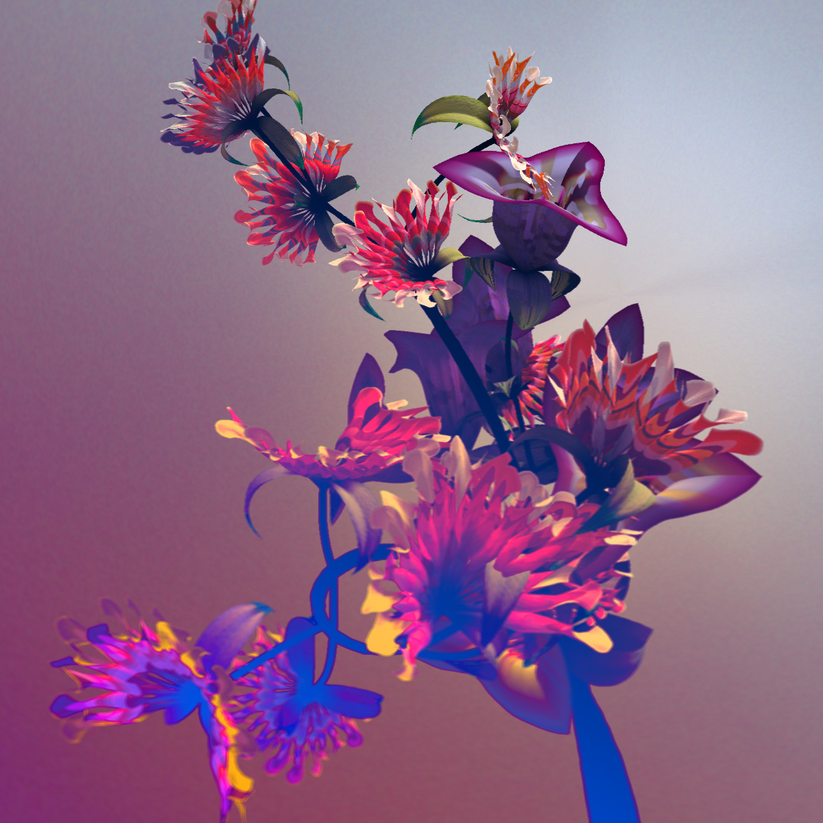 Screen capture of multi-coloured digitally generated flowers